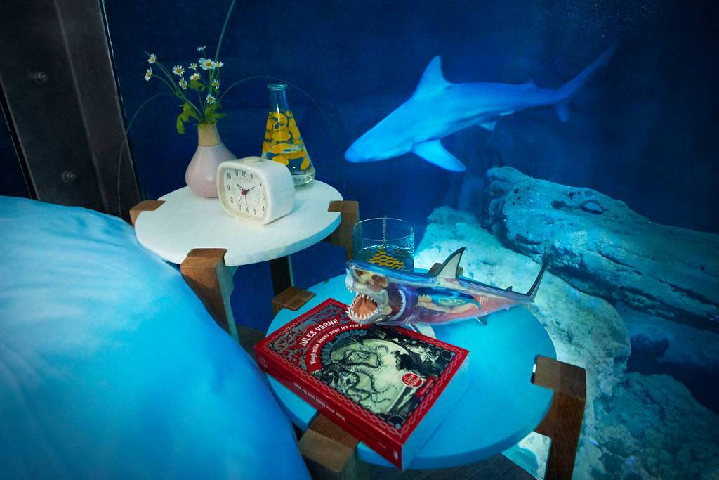 airbnb-night-at-aquarium-de-paris-shark-3