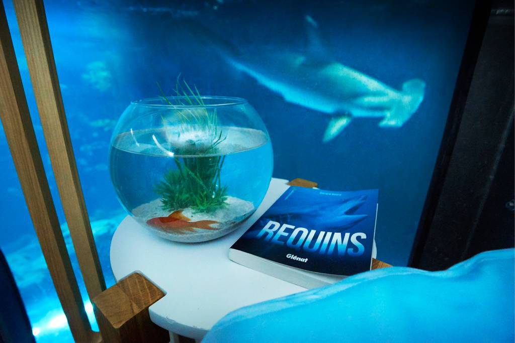 airbnb-night-at-aquarium-de-paris-shark-4