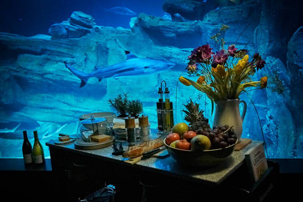 airbnb-night-at-aquarium-de-paris-shark-5