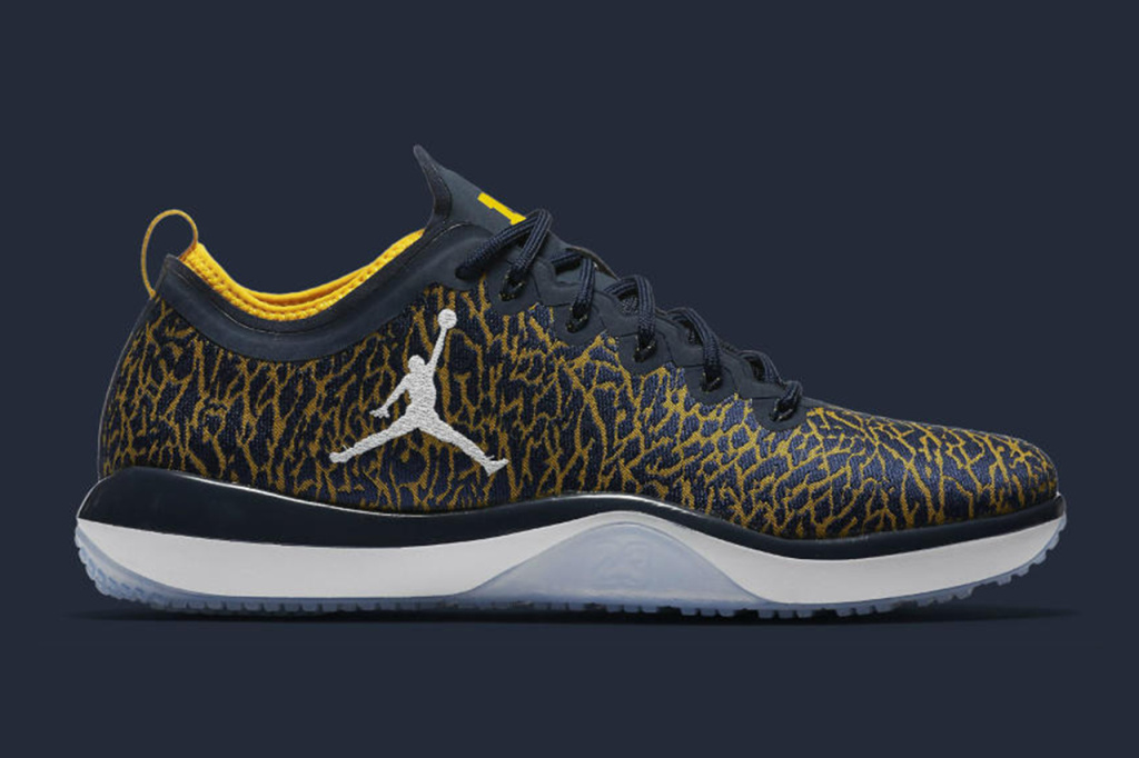 university-of-michigan-air-jordan-trainer-1-low-1